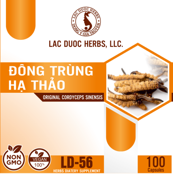 LD-56 ĐÔNG TRÙNG HẠ THẢO (ORIGINAL CORDYCEPS SINENSIS)